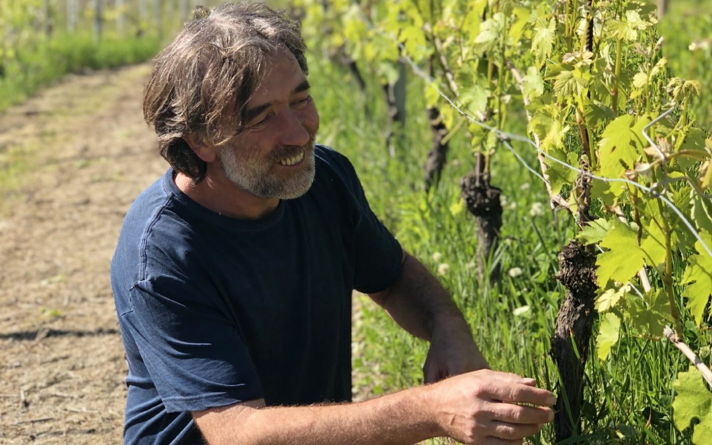 Barovero Giorgio in the vineyard