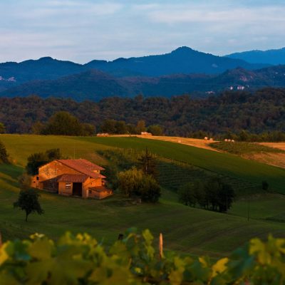 Briaglia