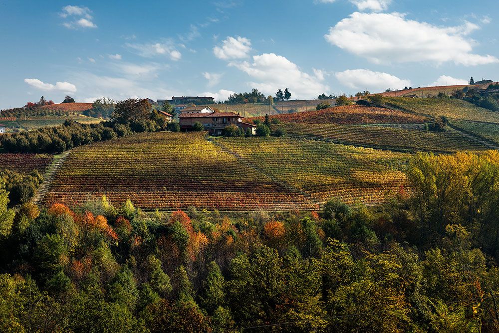 Vista di Cascina Gramolere adagiata su una delle colline di Monforte d'Alba