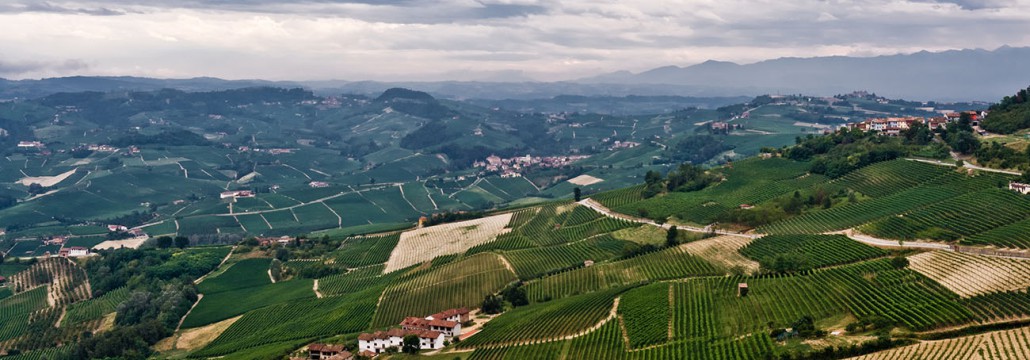 Le colline intorno a Barolo