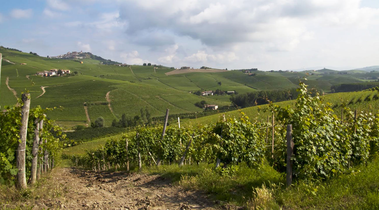 Langhe