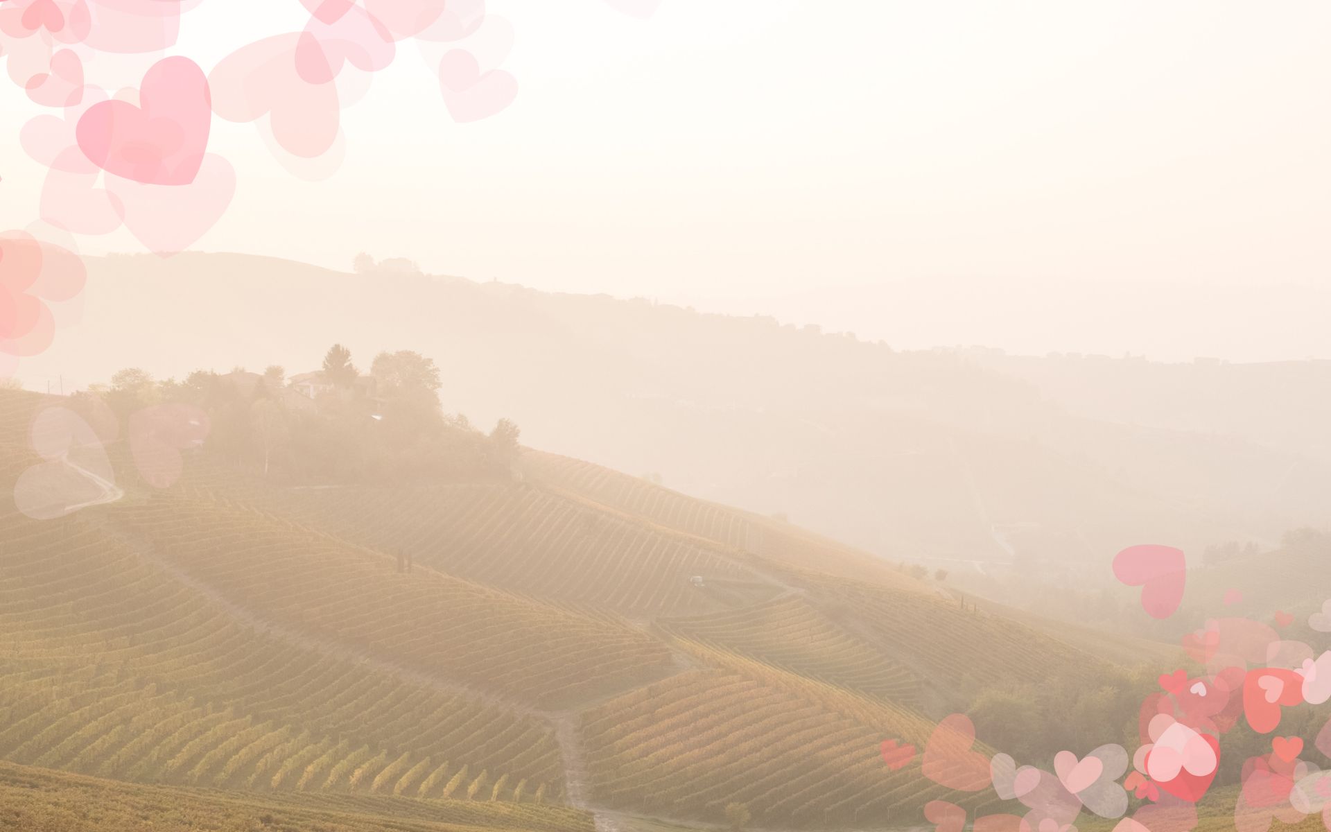 San Valentino nelle Langhe