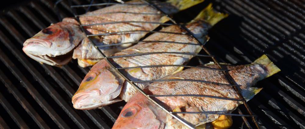 Grilled fish - Alpha