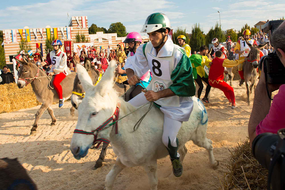 The Palio Donkey race 