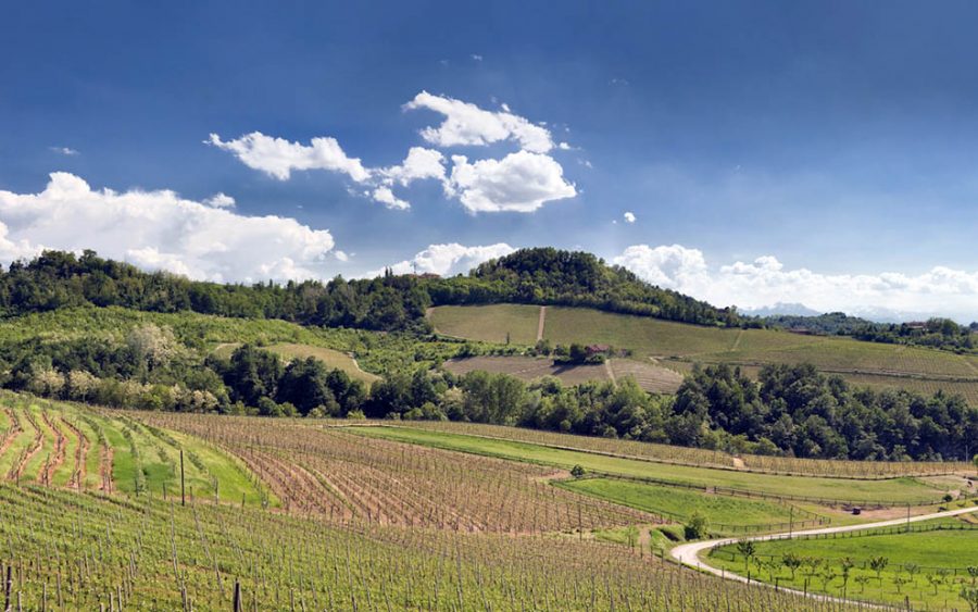 Panorama delle Langhe