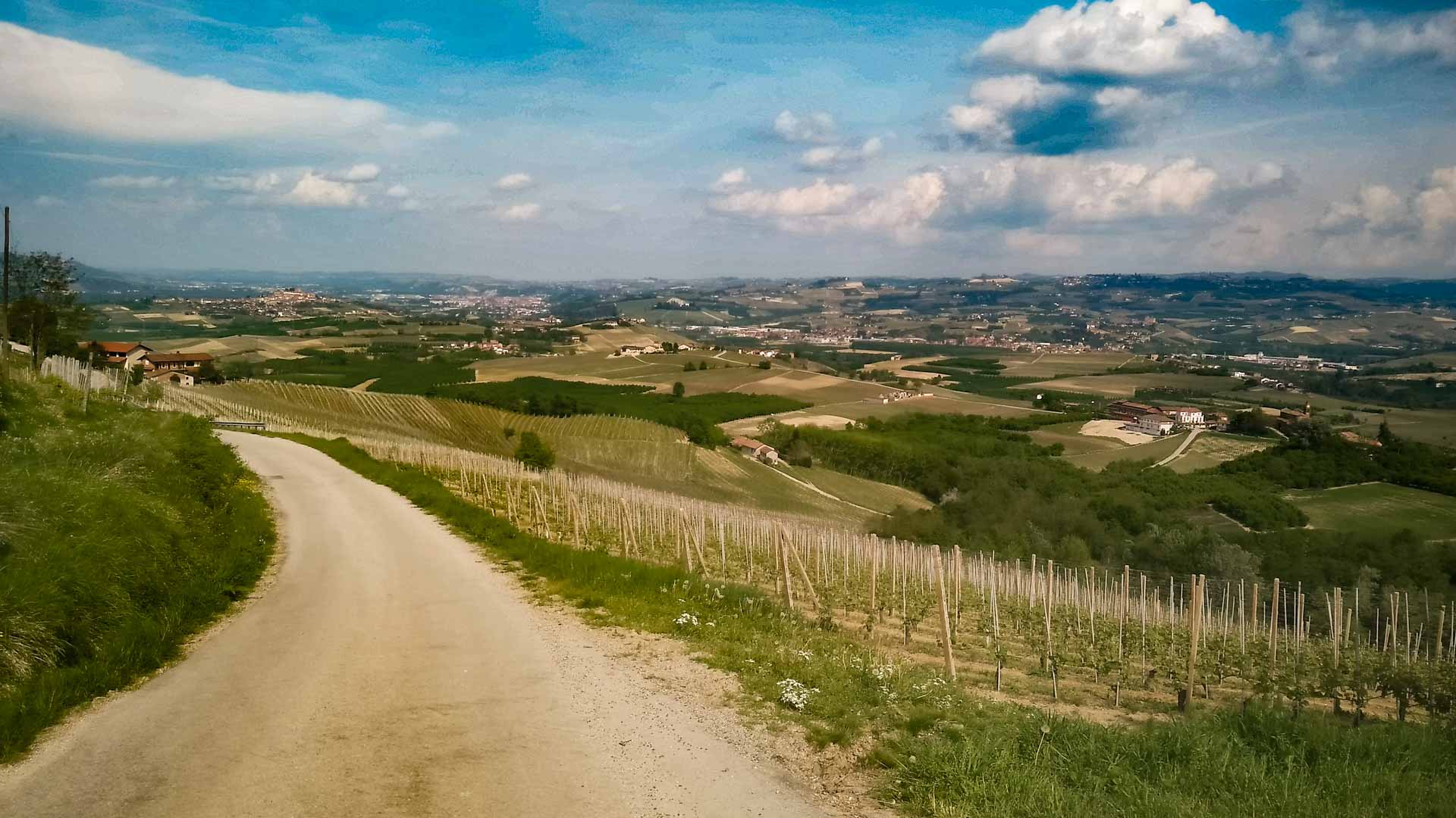 The vineyards and Santa Maria - La Morra