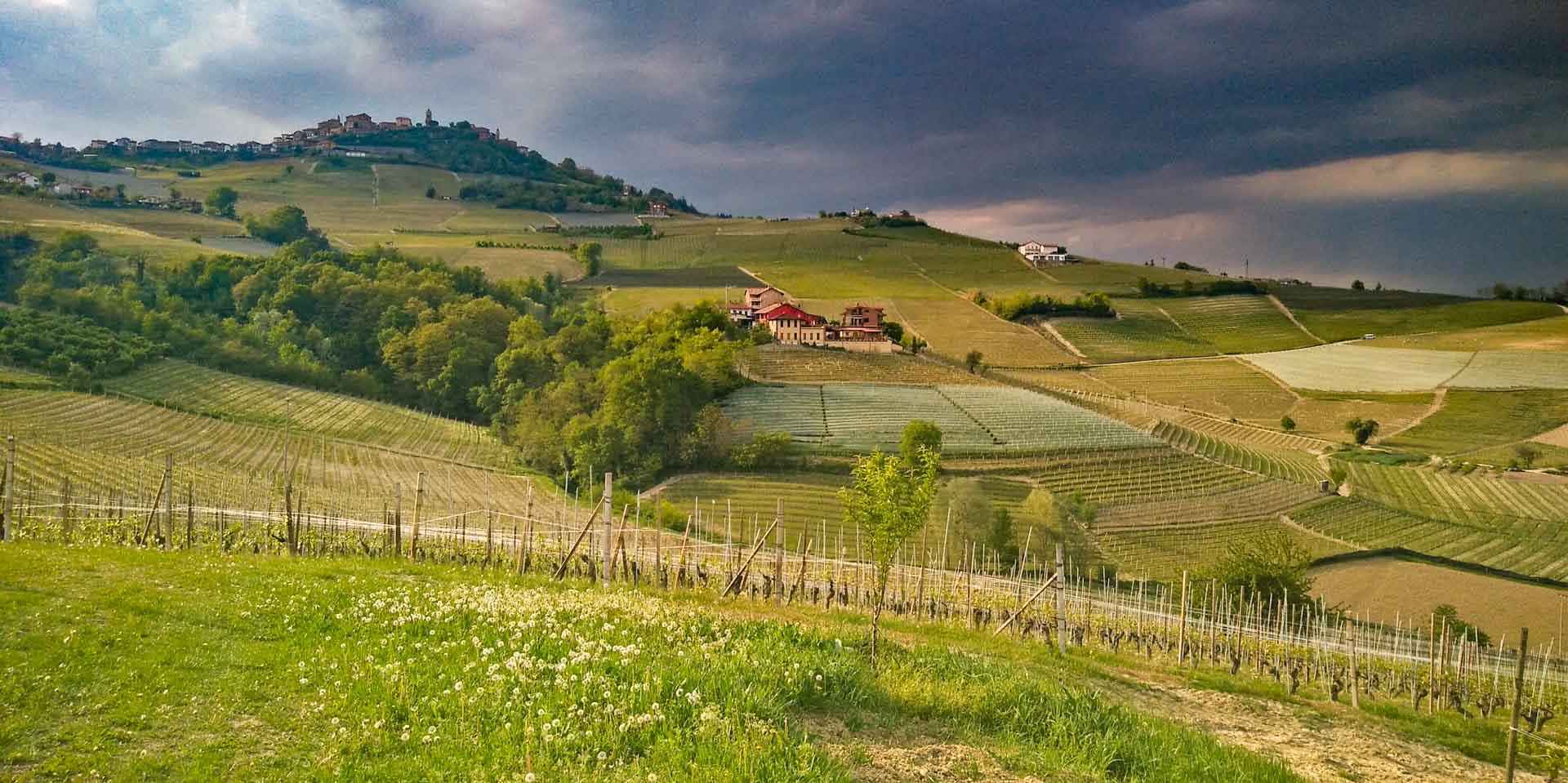 Il sentiero del Barolo di La Morra. Panorama - La Morra e Vigneti