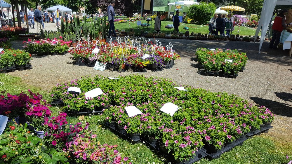 expoflora fossano - Eventi