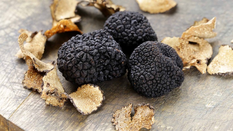 tartufo nero - eventi