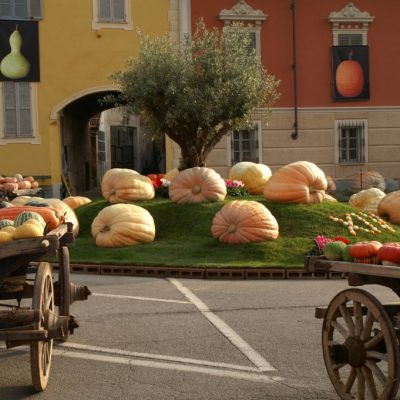 articolo-cosa-fare-a-settembre-piozzo