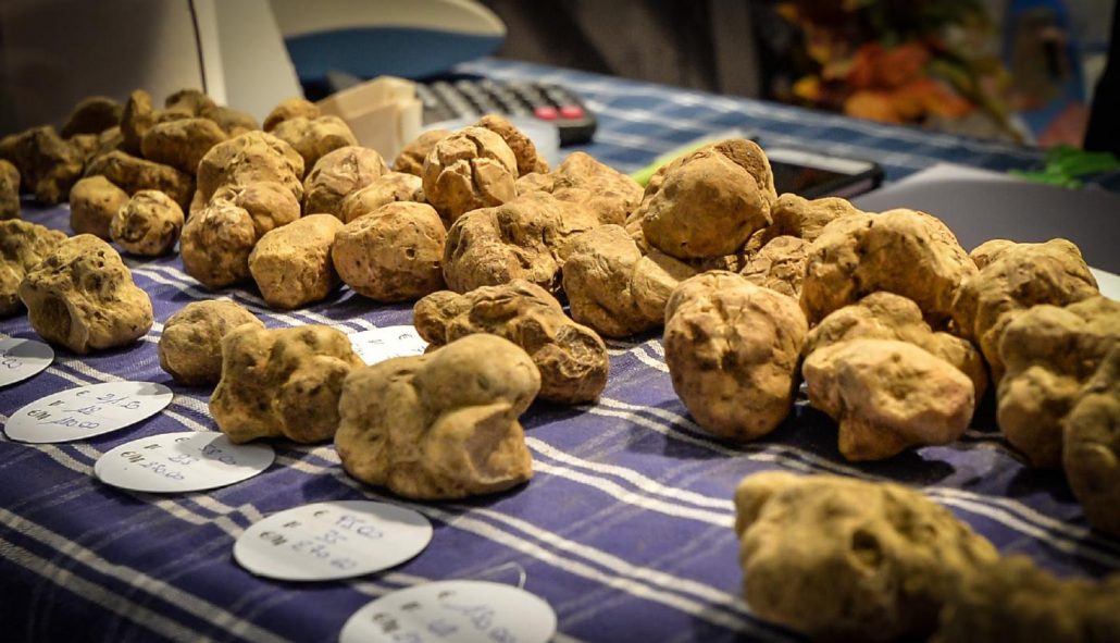 Fiera Internazionale del Tartufo Bianco Alba - Eventi