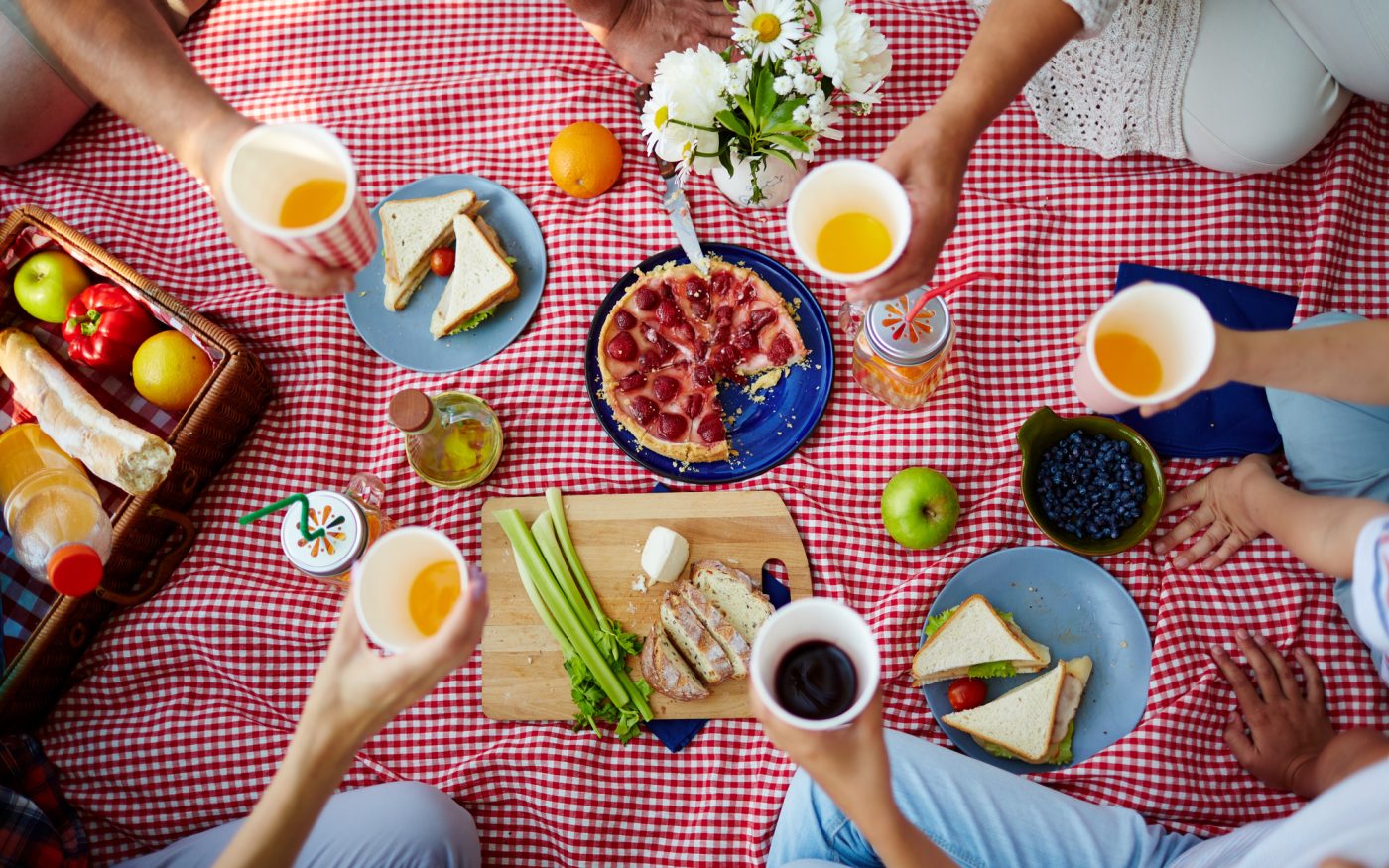 Picnic - brindisi