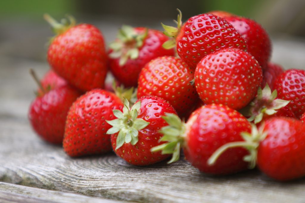 fragole