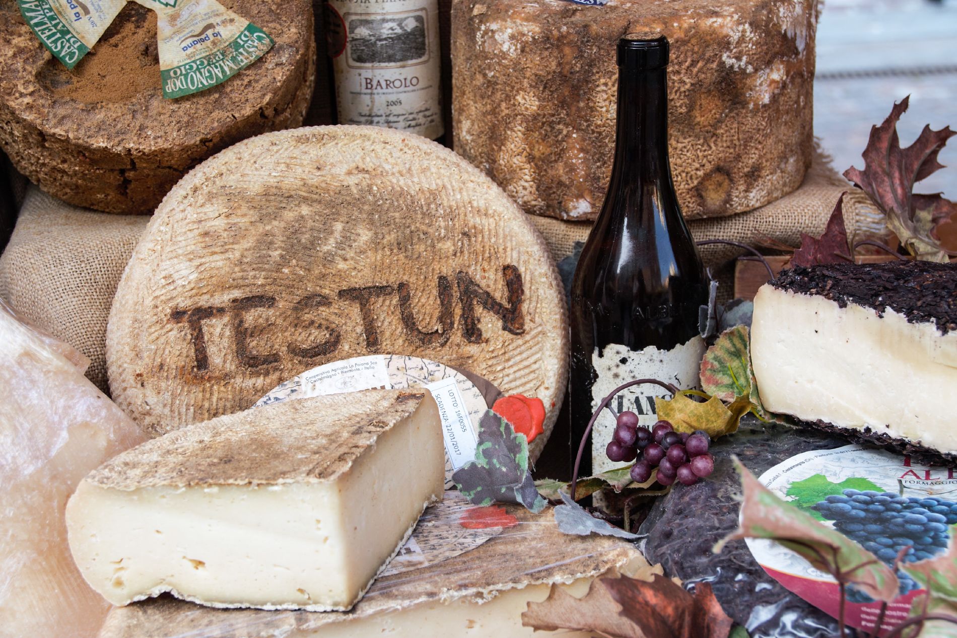 resized_Testun e Barolo.