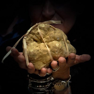 Analisi Sensoriale del Tartufo - Eventi
