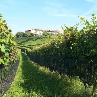 cascina gabutti – Eventi