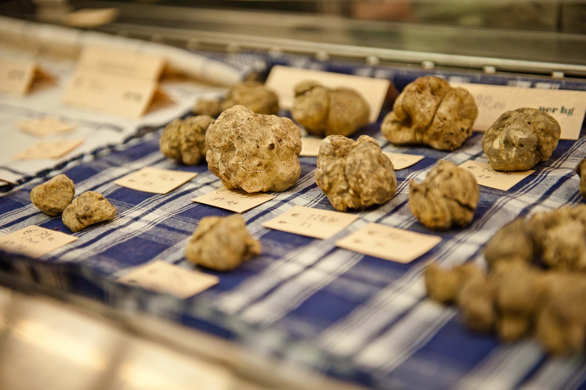 tartufo bianco d'Alba