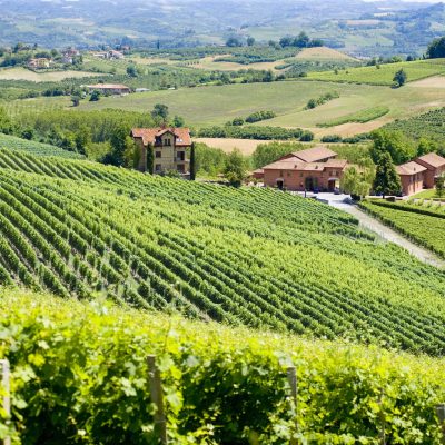 Tenuta Carretta – esterni tenuta (2)