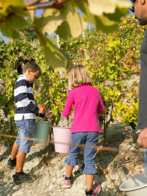 Cascina Fontanette - I bambini vendemmiano