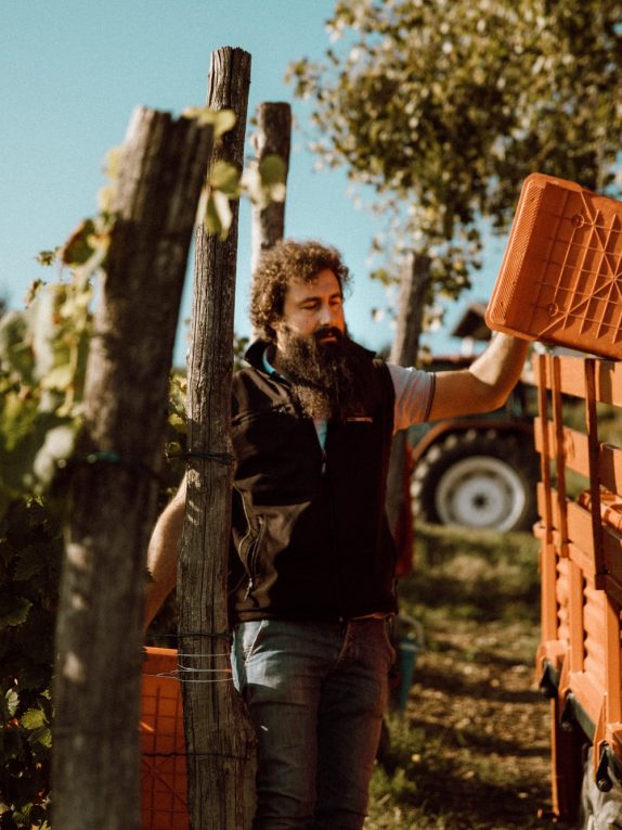 I lavori in vigna