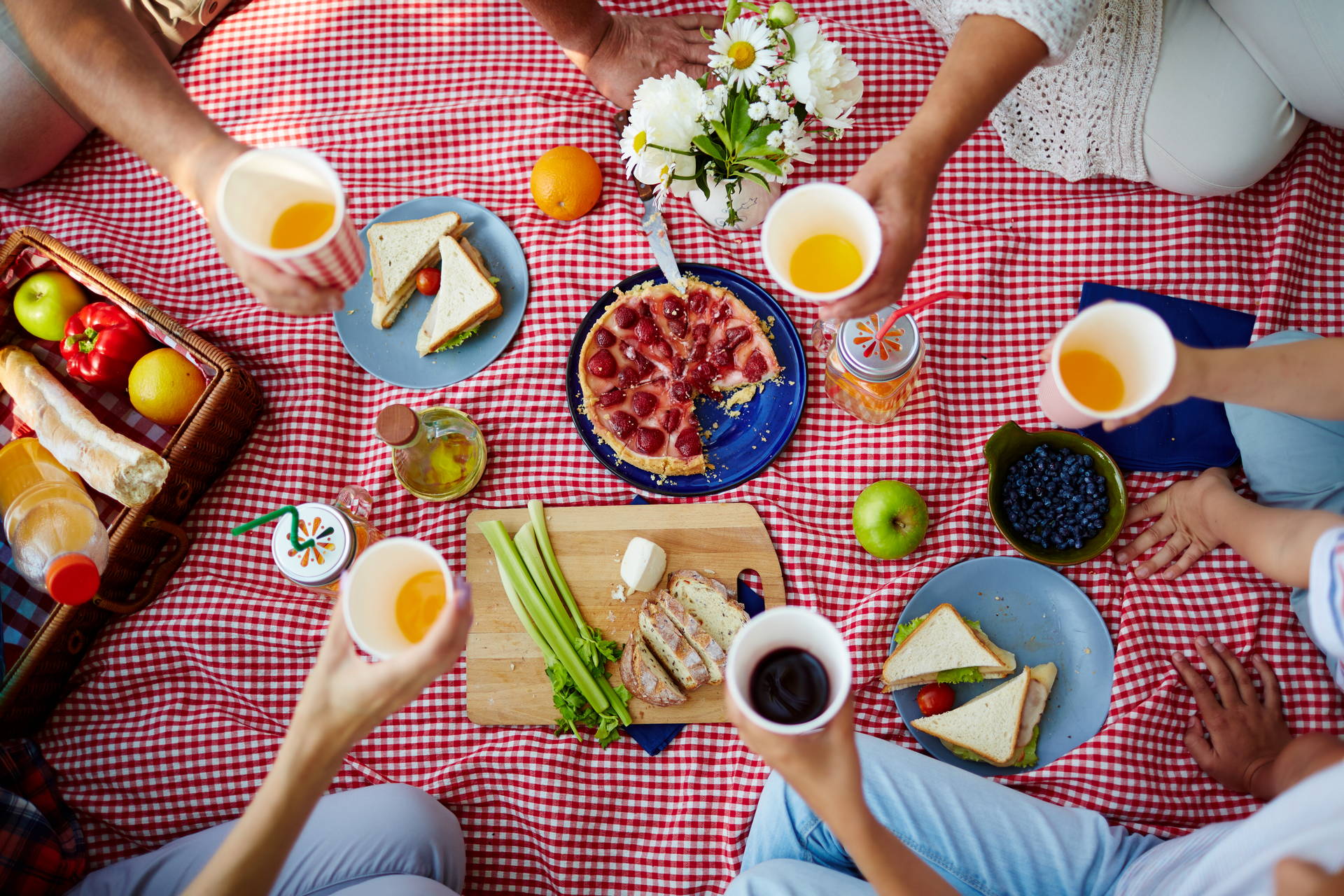 res_Picnic