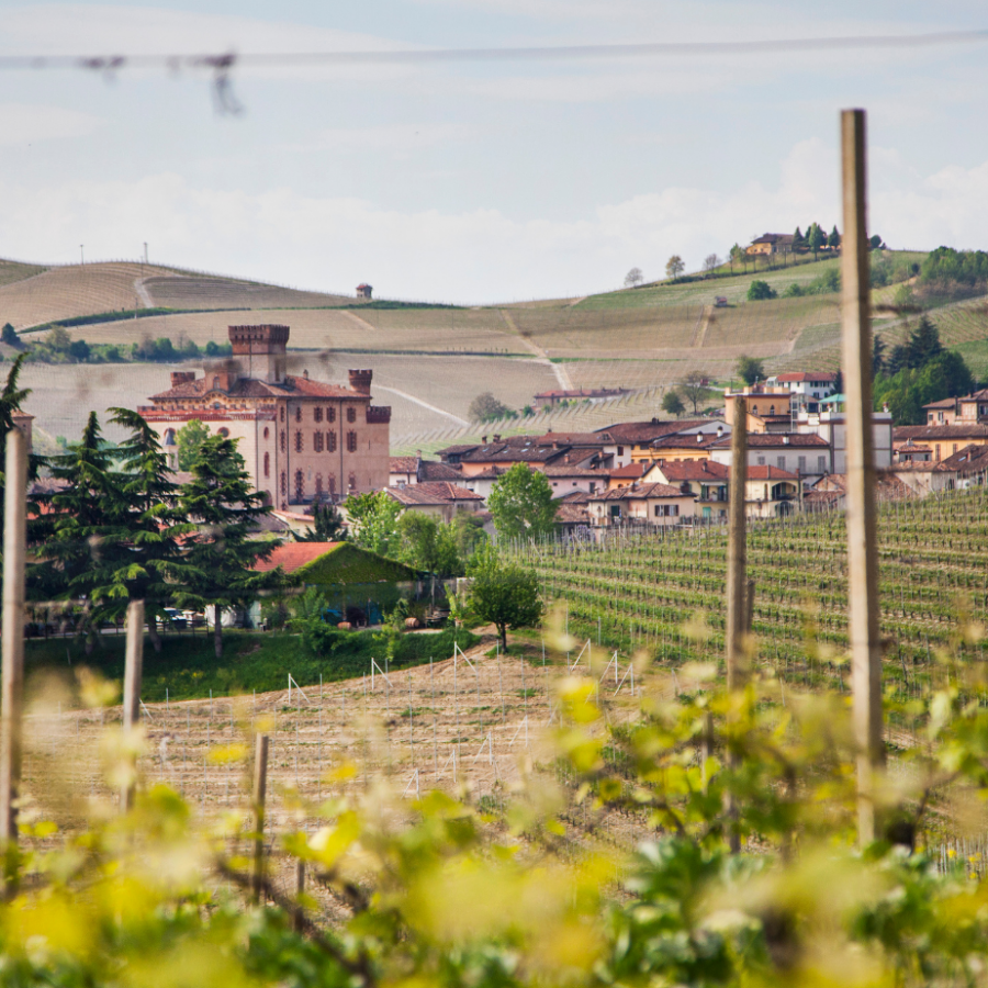 Barolo wine vintages: from 1951 to 1989 - Langhe Wines Barolo wine vintages: from 1951 to 1989 - Langhe Wines