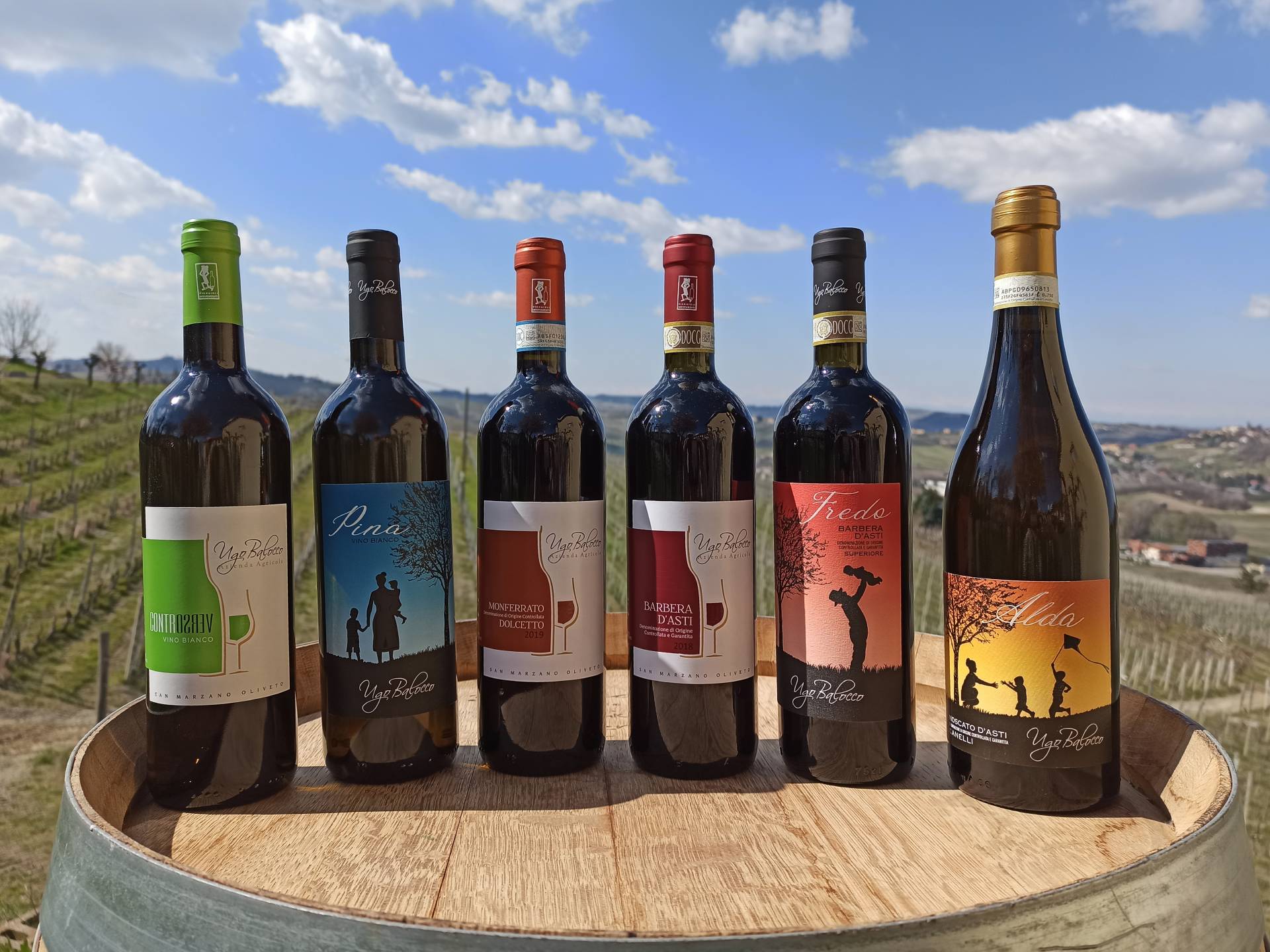 Ugo Balocco - High-end wines