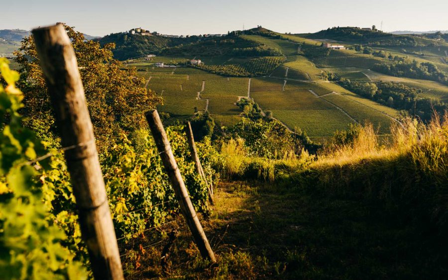 I Vigneti