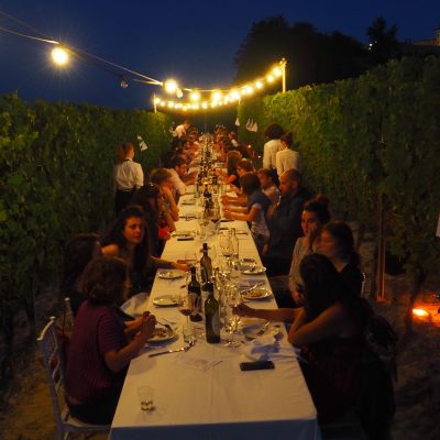Cascina Goregn - An evening in the vineyard