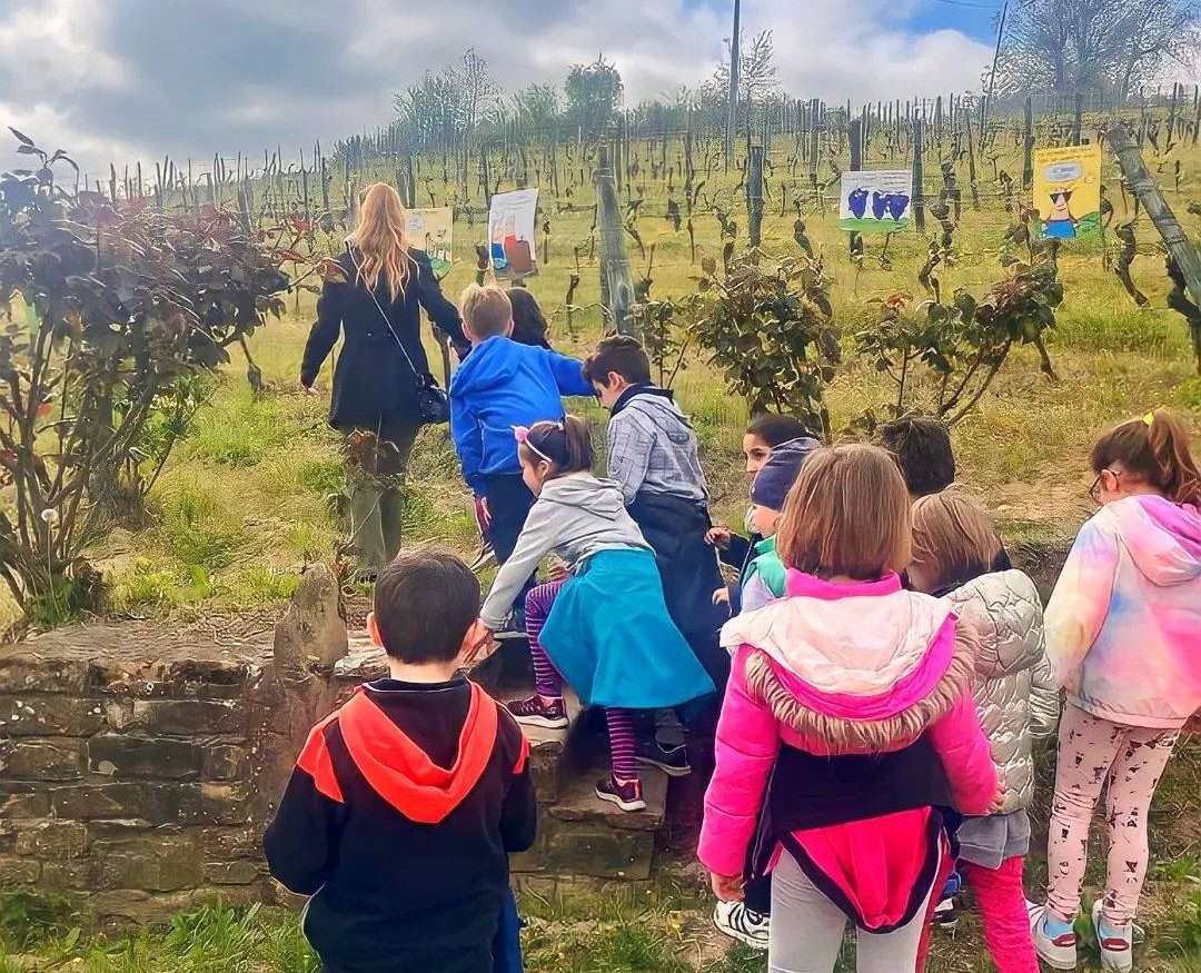 Recreational and educational activities for the little ones