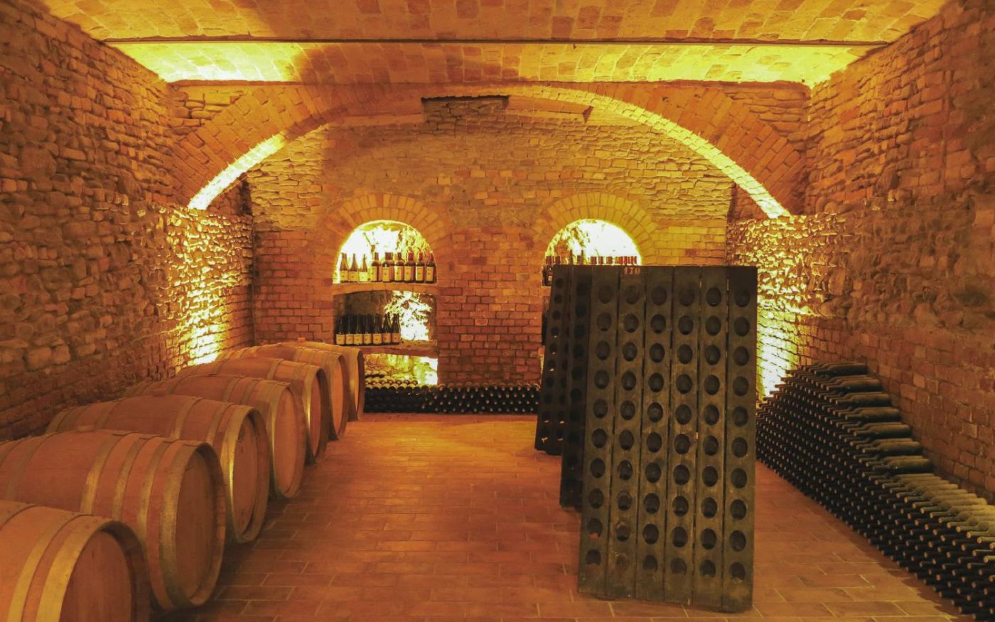 Among the barrels and barriques are a hundred bottles produced by the grandfather's