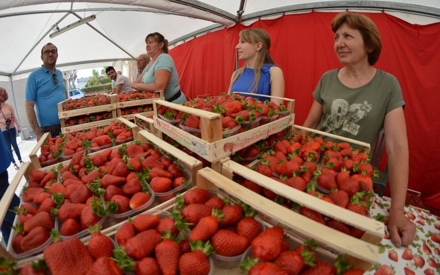 sommeriva strawberry festival -events