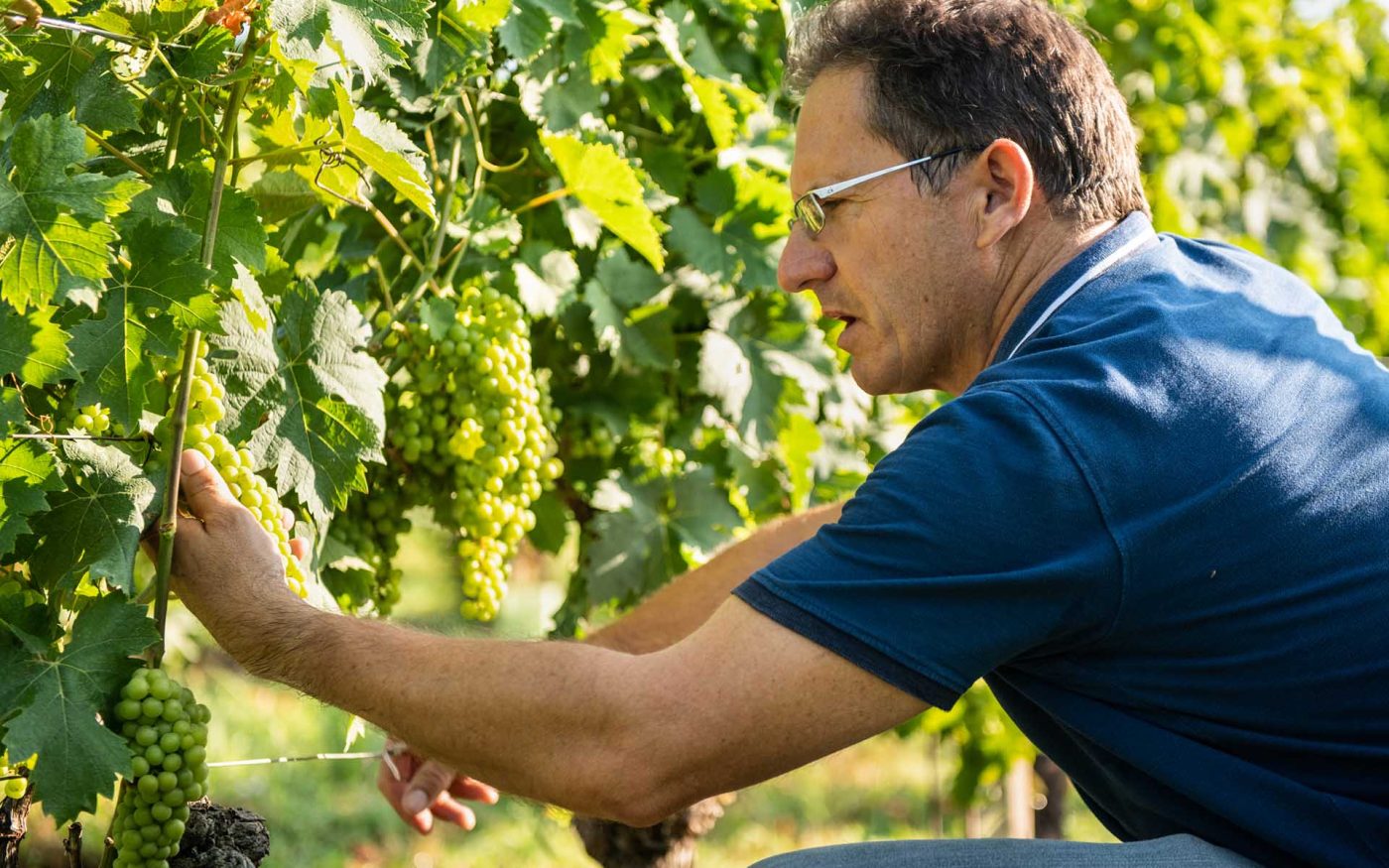 Cascina Fontanette - Franco Ariano