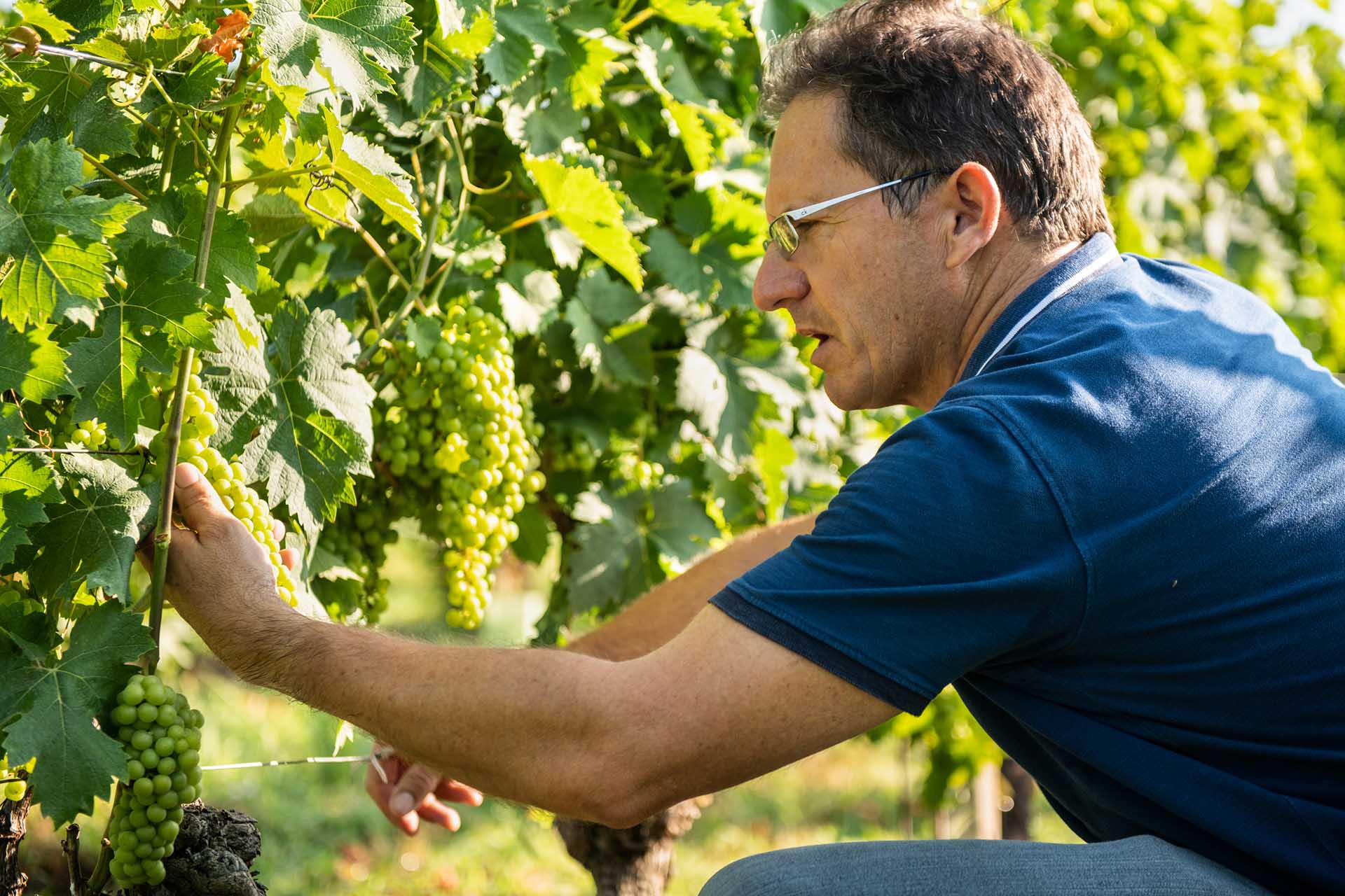 Cascina Fontanette – Franco Ariano Cascina Fontanette - Franco Ariano