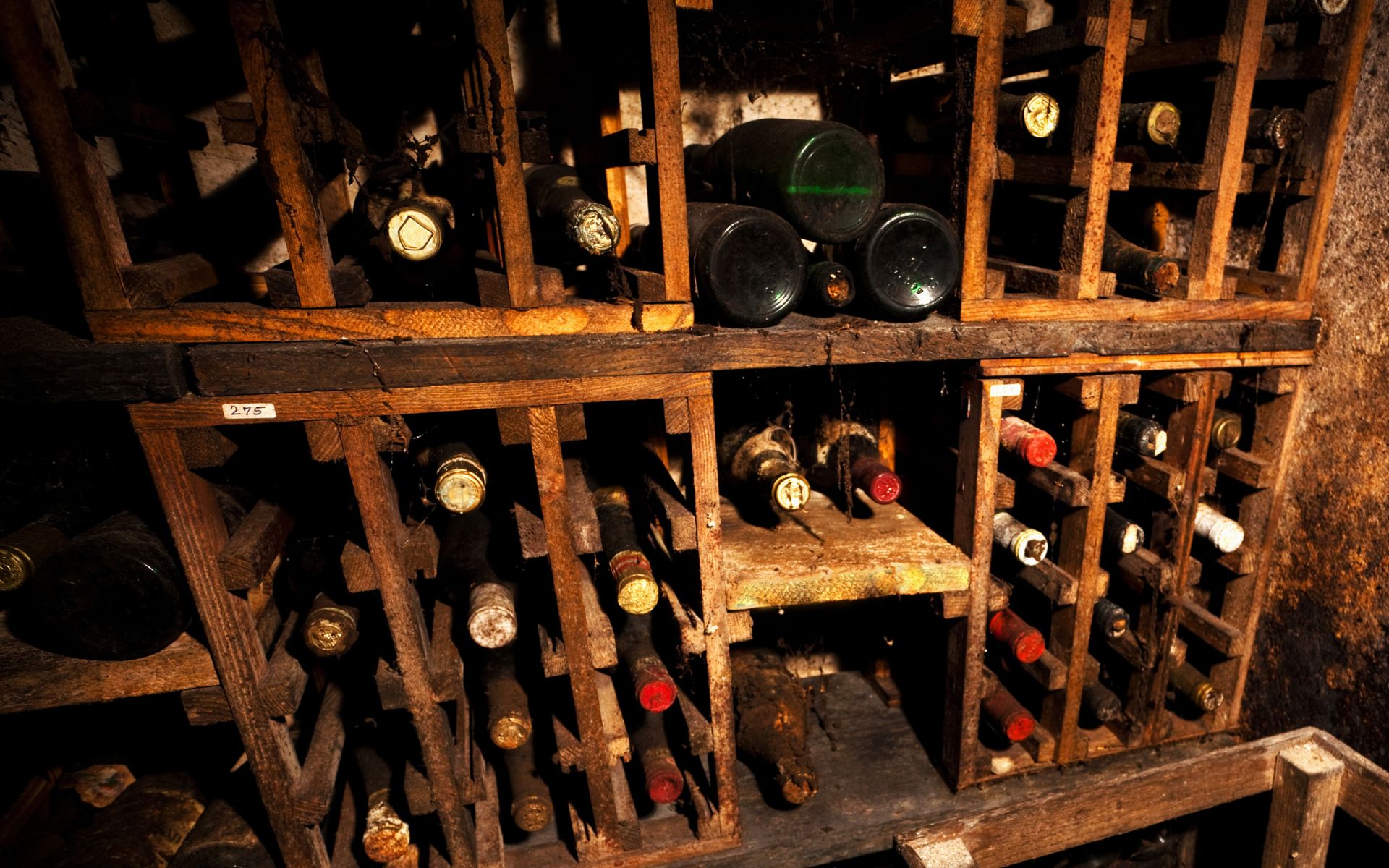 Bottiglie di vino in cantina