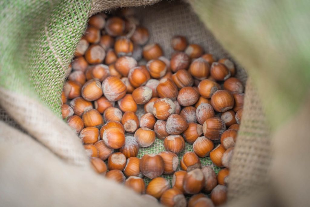 nocciole -eventi
