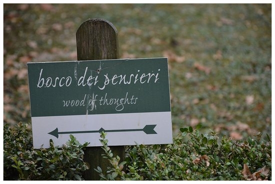Il bosco dei pensieri