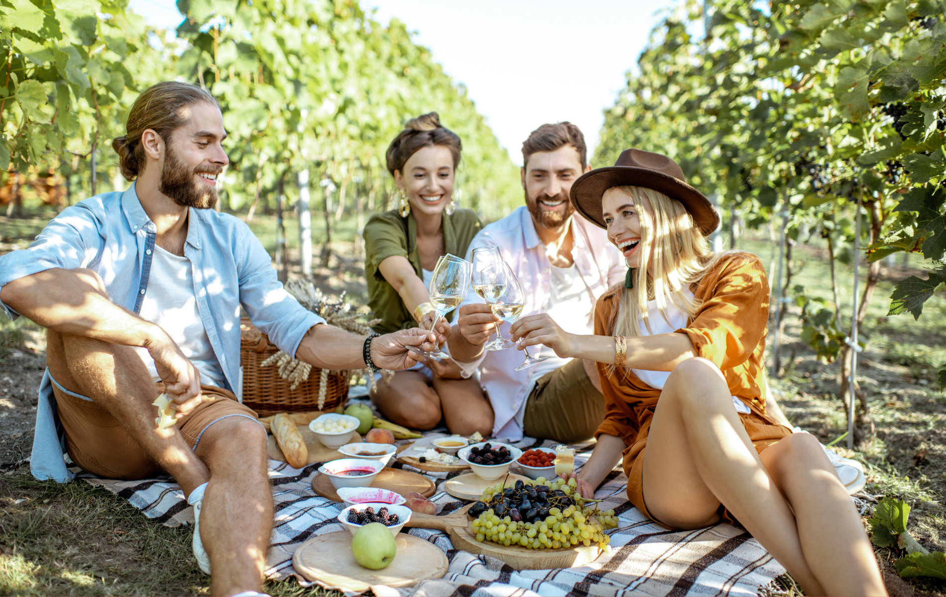 picnic in vigna