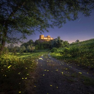 CASTELLO Castiglione Falletto