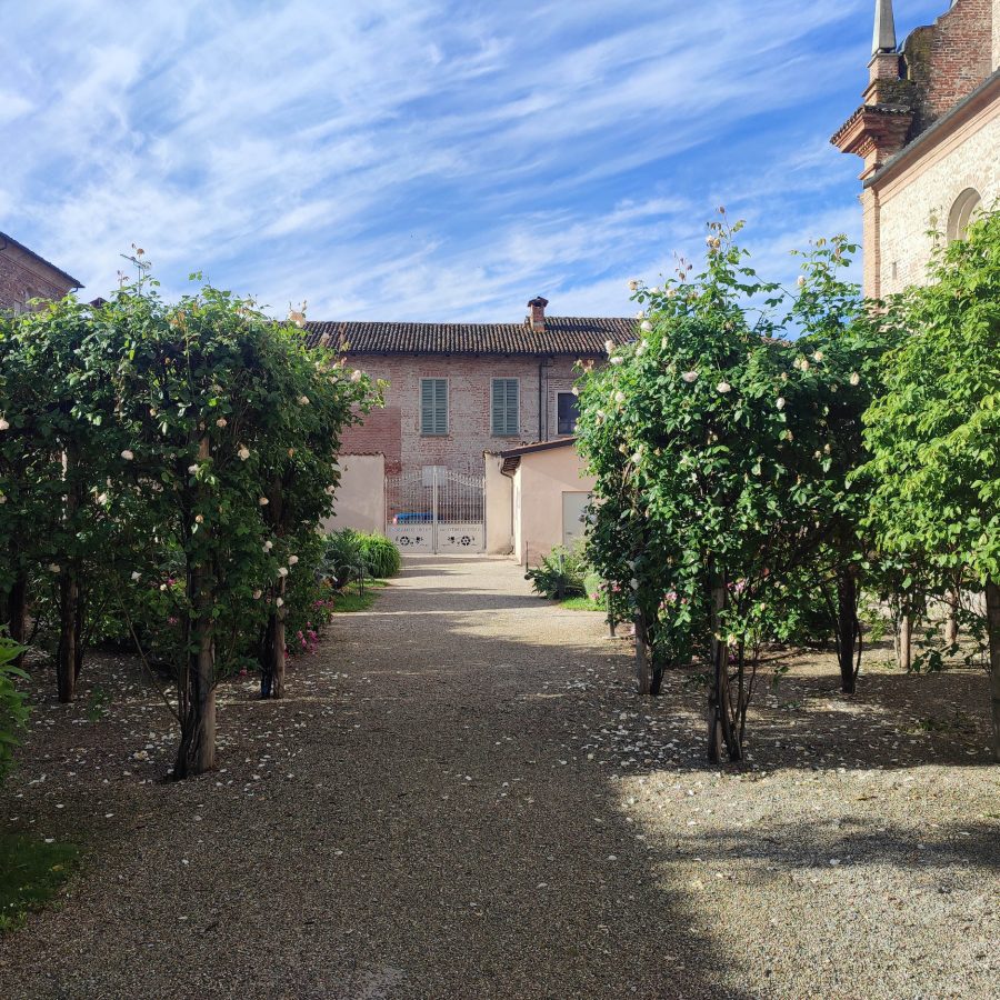 Leggende su Cherasco e dintorni > Cultura & Cinema in Langa e Roero -  Piemonte Eventi