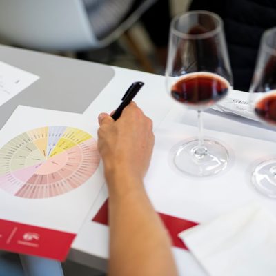 WTE Fiera Tartufo 2023 (5)