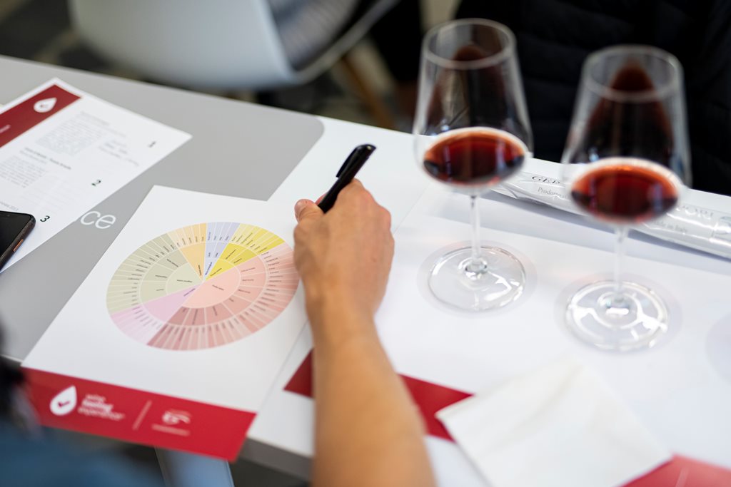 WTE Fiera Tartufo 2023 (5)