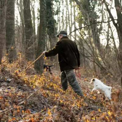 ricerca tartufo - eventi