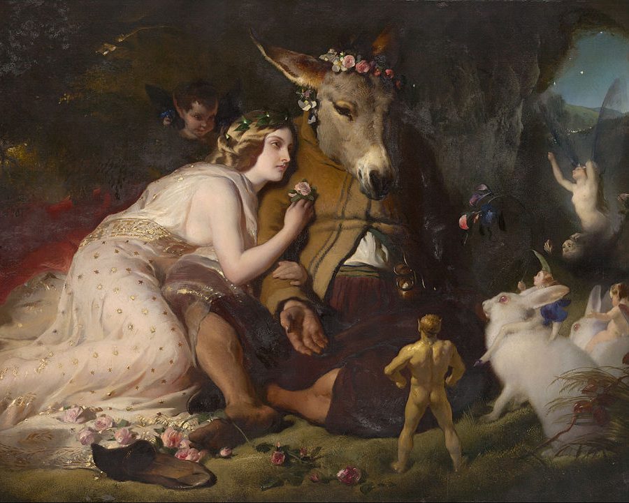 A midsummer night's dream