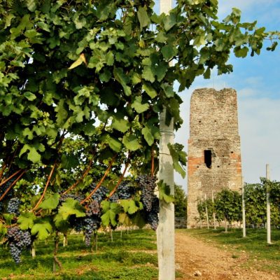 Enoteca Regionale di Gattinara e dell’Alto Piemonte – eventi Enoteca Regionale di Gattinara e dell’Alto Piemonte - eventi