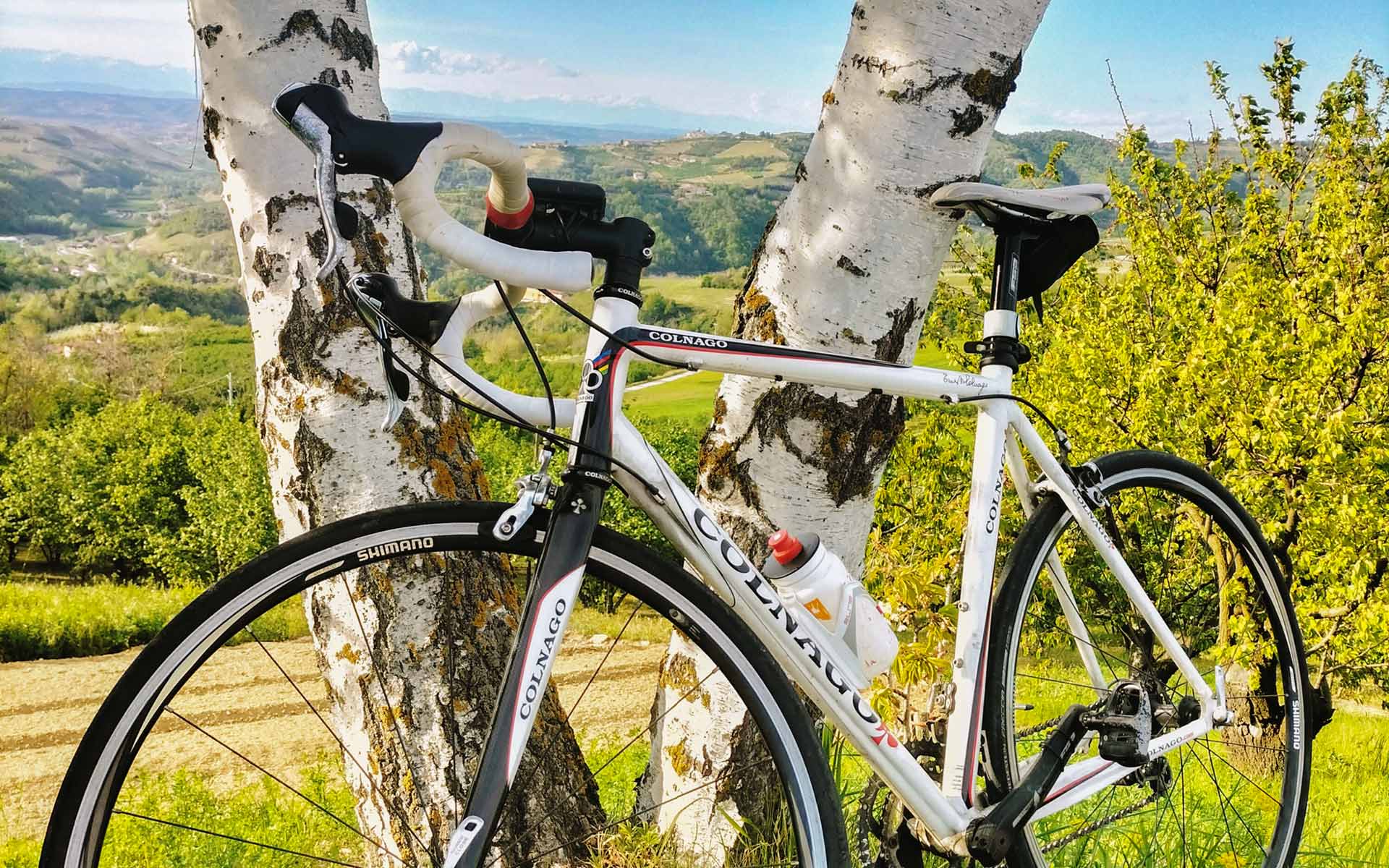 Federico_Carpino_Bici_Langhe2 Pedalare nelle Langhe