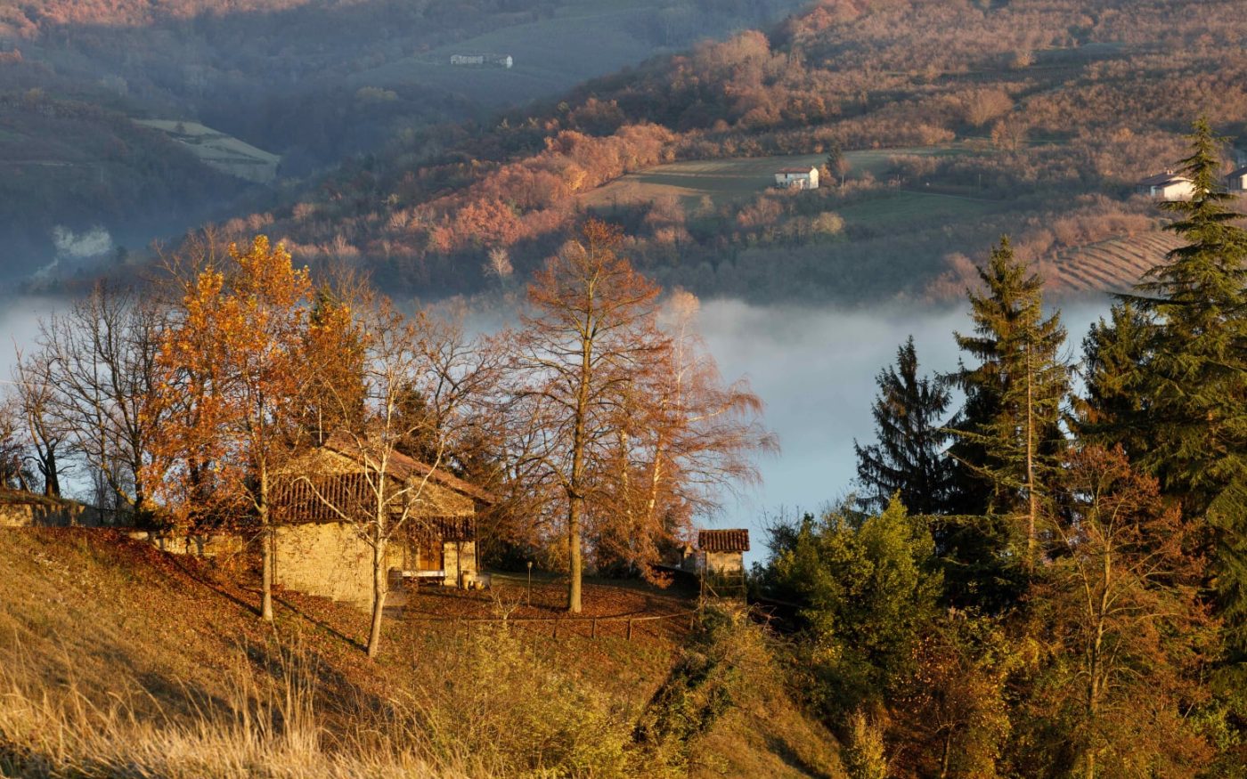 Montelupo Fossa dei Quiri