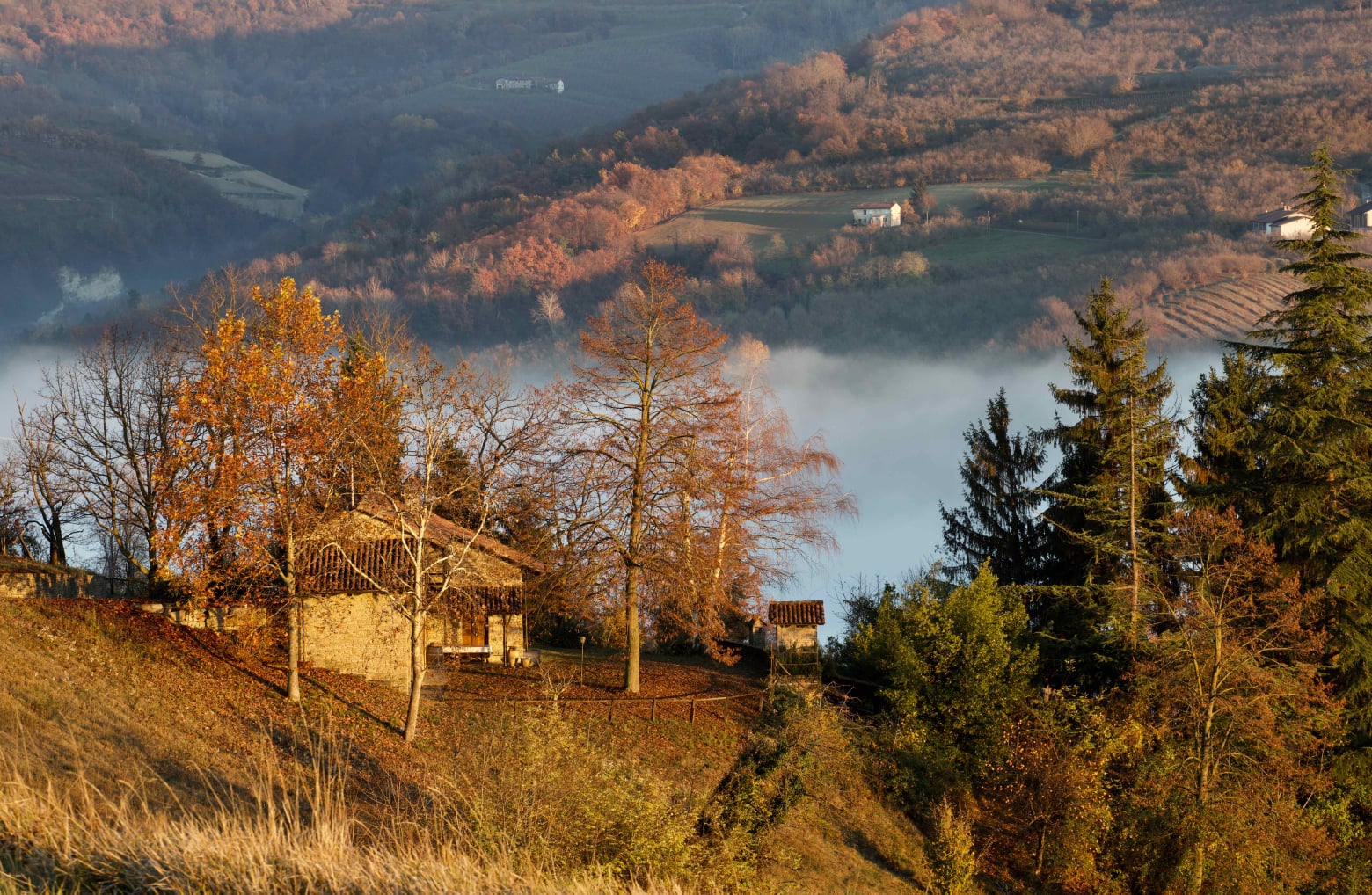 Montelupo Fossa dei Quiri