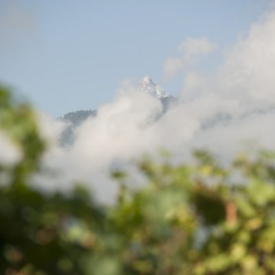 vini le marie - eventi