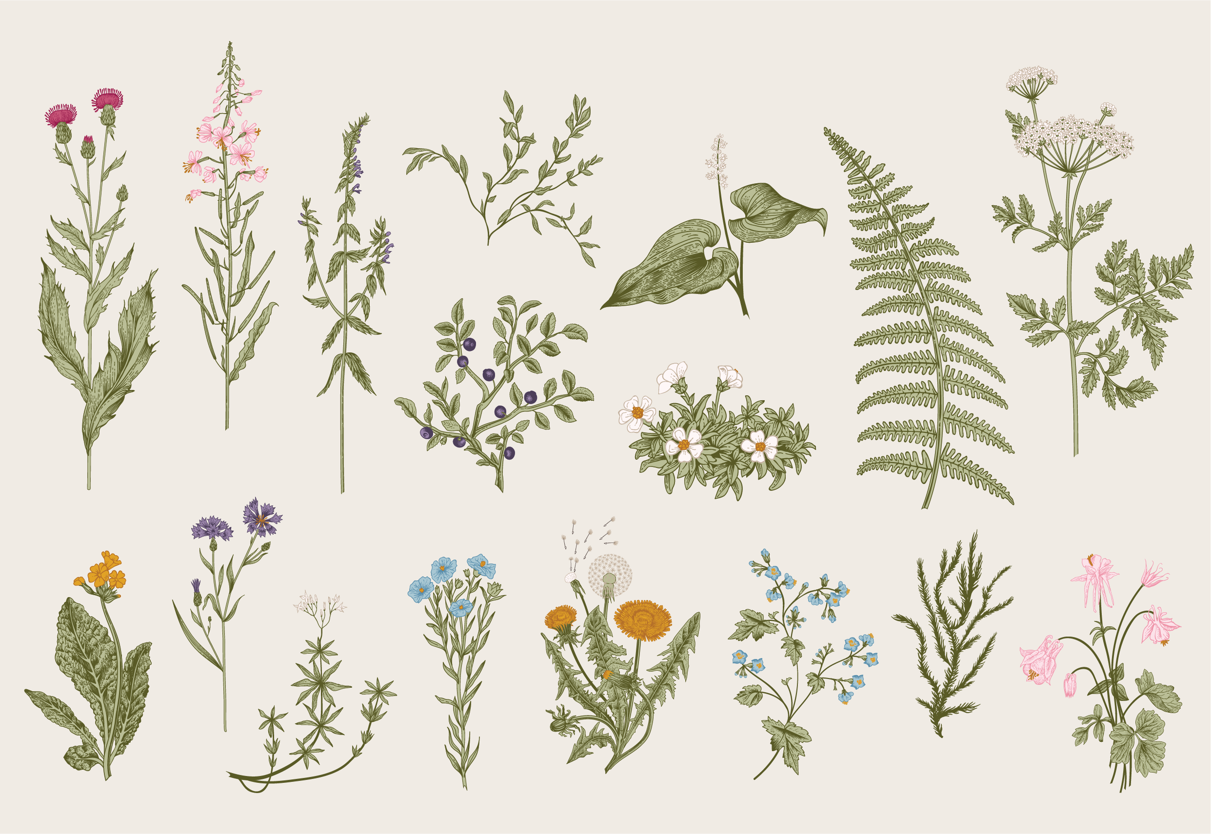 Botanica - eventi